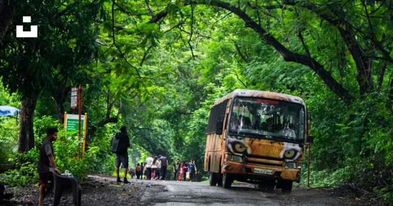Bus traveling along a tree-lined road on an intercity route