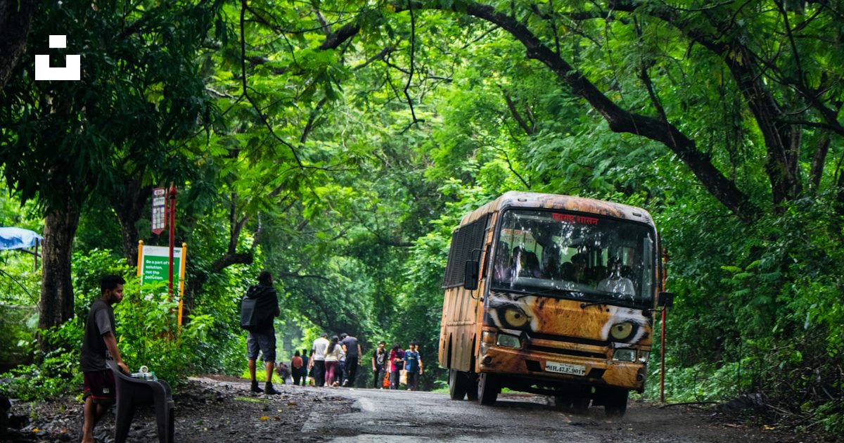 Bus traveling along a tree-lined road on an intercity route